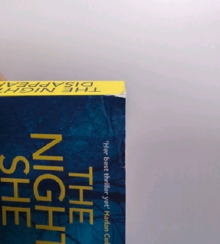 The Night She Disappeared Thriller Mystery Bestseller