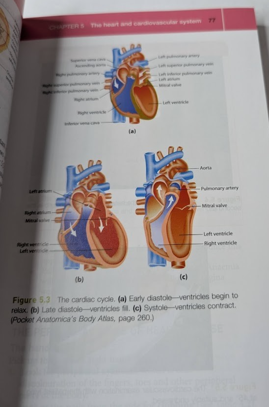 Clinical Examination Essentials Introduction Clinical Skills Pass Exams Talley
