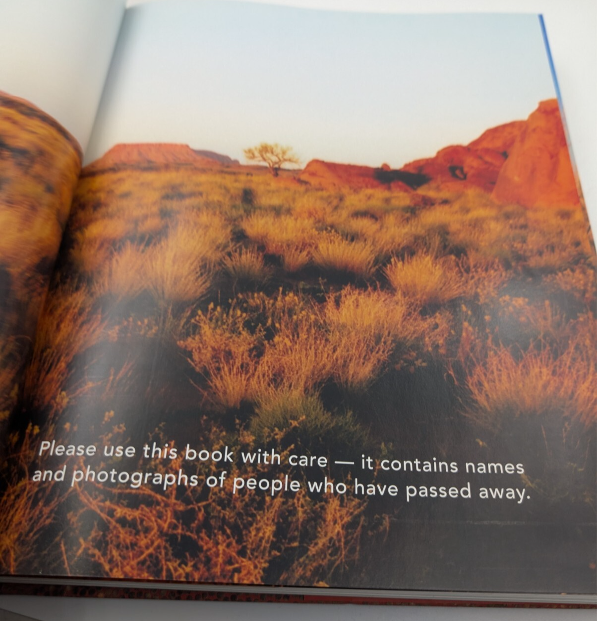 Lives of the Papunya Tula Artists by Vivien Johnson (HC 2008) indigenous Artists