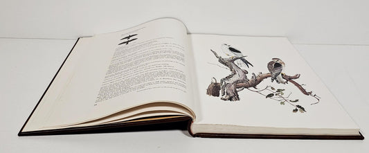 Birds of Prey of Australia Frank Morris 1st ltd edition HUGE leather bound 1973