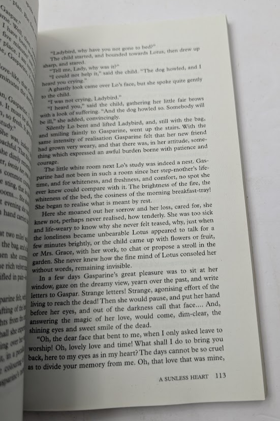 Sunless Heart Trade Paperback 2008 Classic Literature Fiction