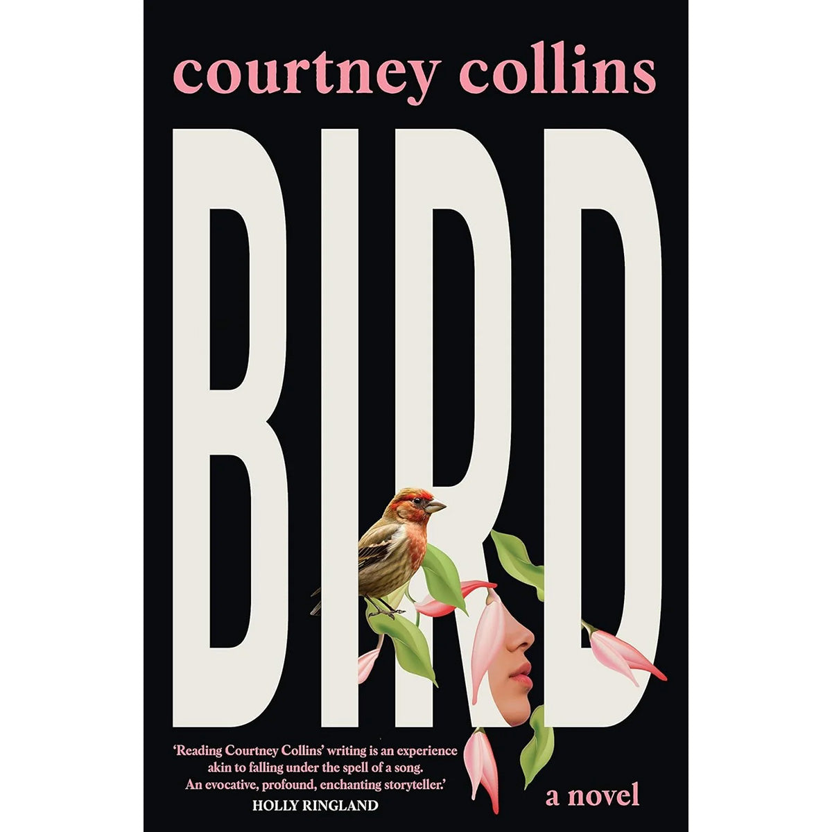 Bird - Young Adult Literary Fiction