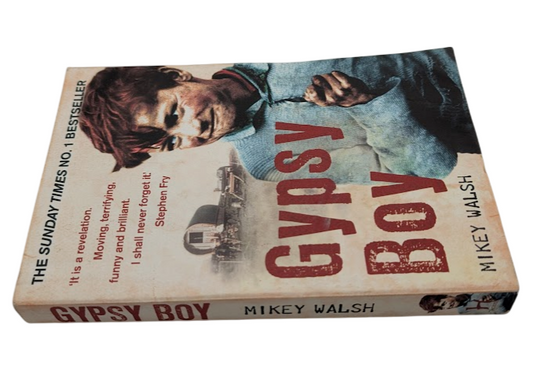 Gypsy Boy: One boy's struggle to escape from a secret world by Mikey Walsh 2010