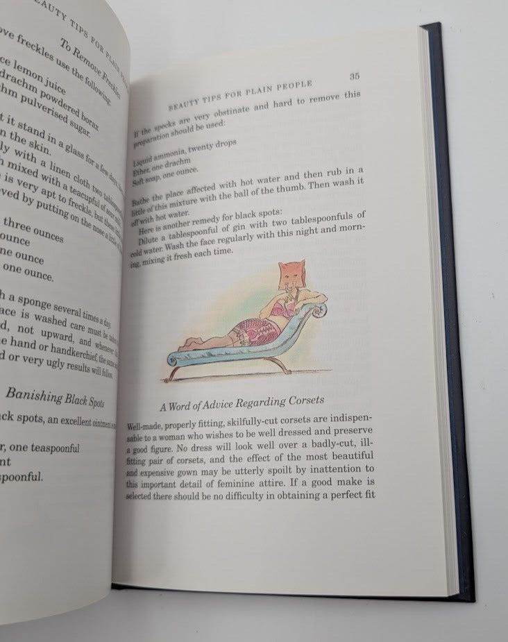How To Cook A Hippopotamus by Ian Pindar Folio Society (Hardcover, 2006) No Case