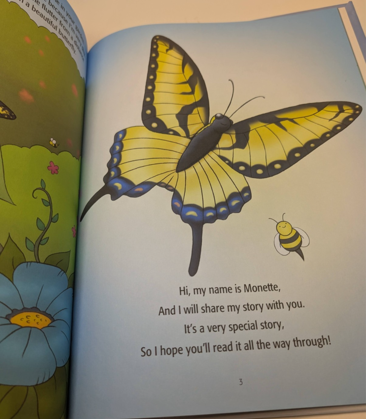 Miracle of a Butterfly by Betty Lowery, Paul Lowery Hardcover