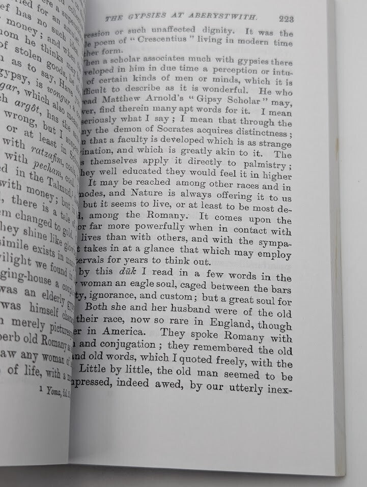 The Gypsies by Charles Godfrey Leland (Paperback 2004) Regional History