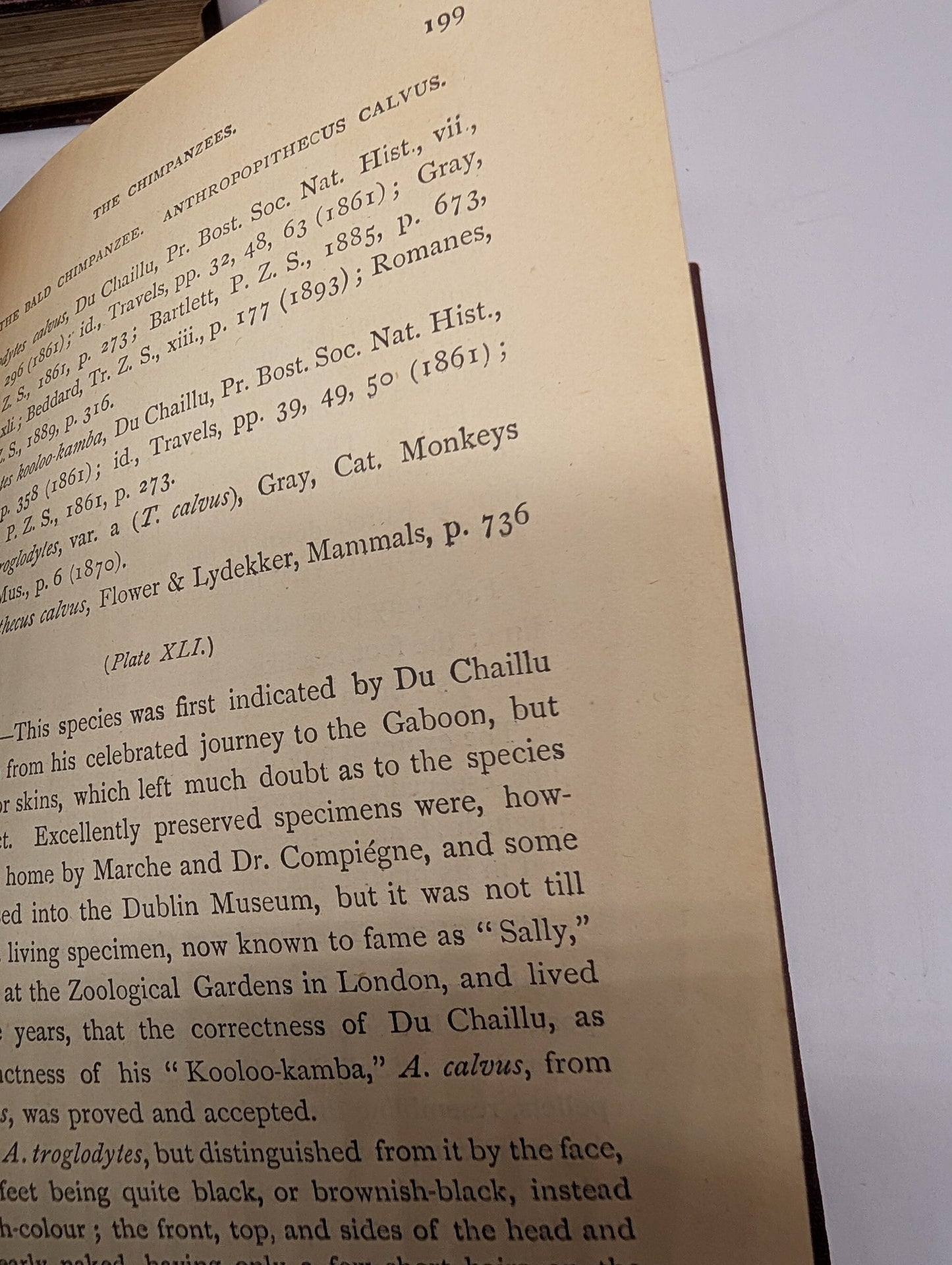 A Handbook to the Primates, Vols I & II, Forbes, 1896. Lloyds