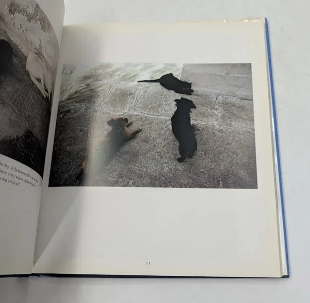 Dogs of the Greek Islands, Pearl Press photo 7