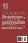 Fire Filly Horse Fiction Equestrian Adventure Young Adult