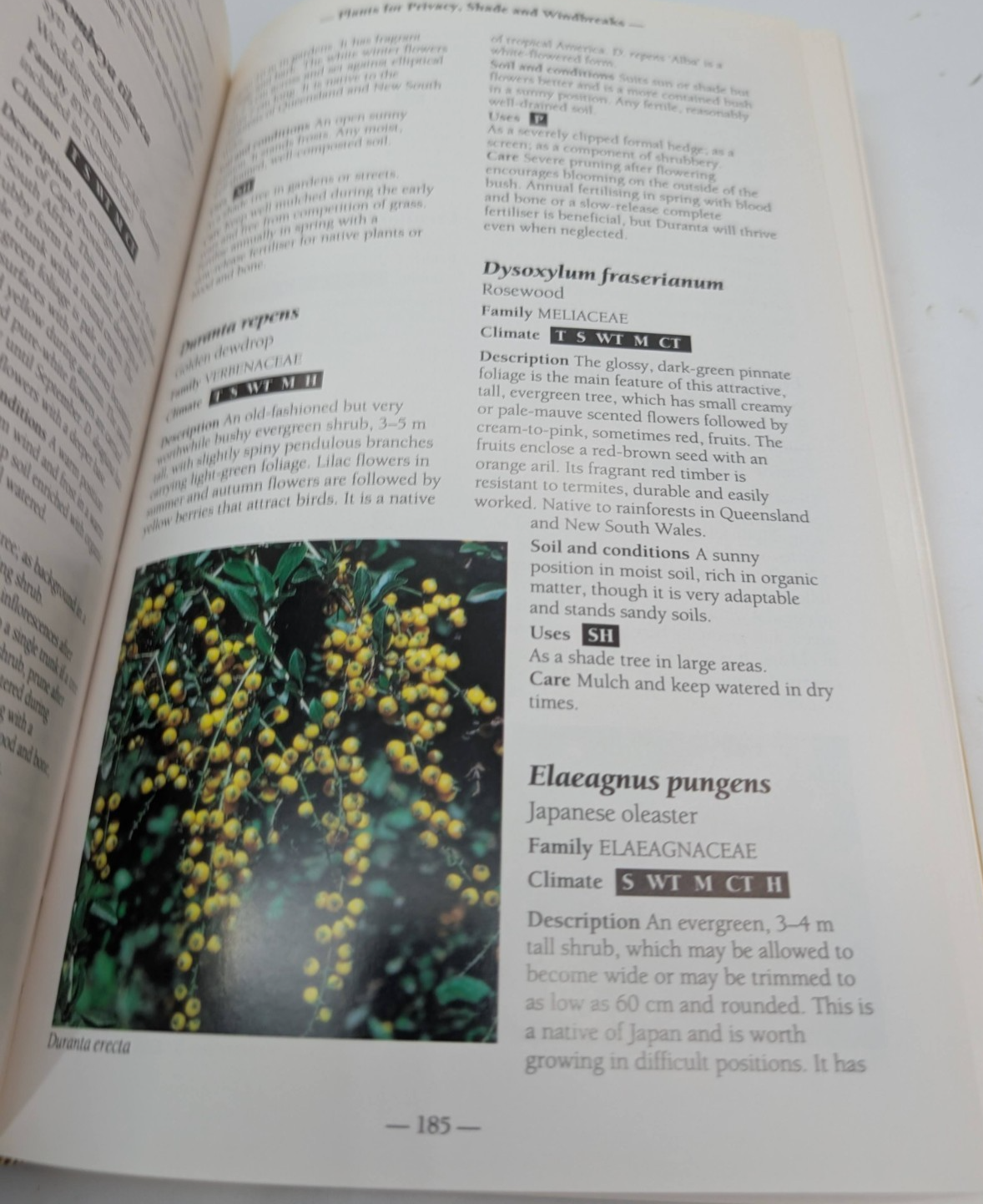 Australian Gardening by Gregorys - book detail 12