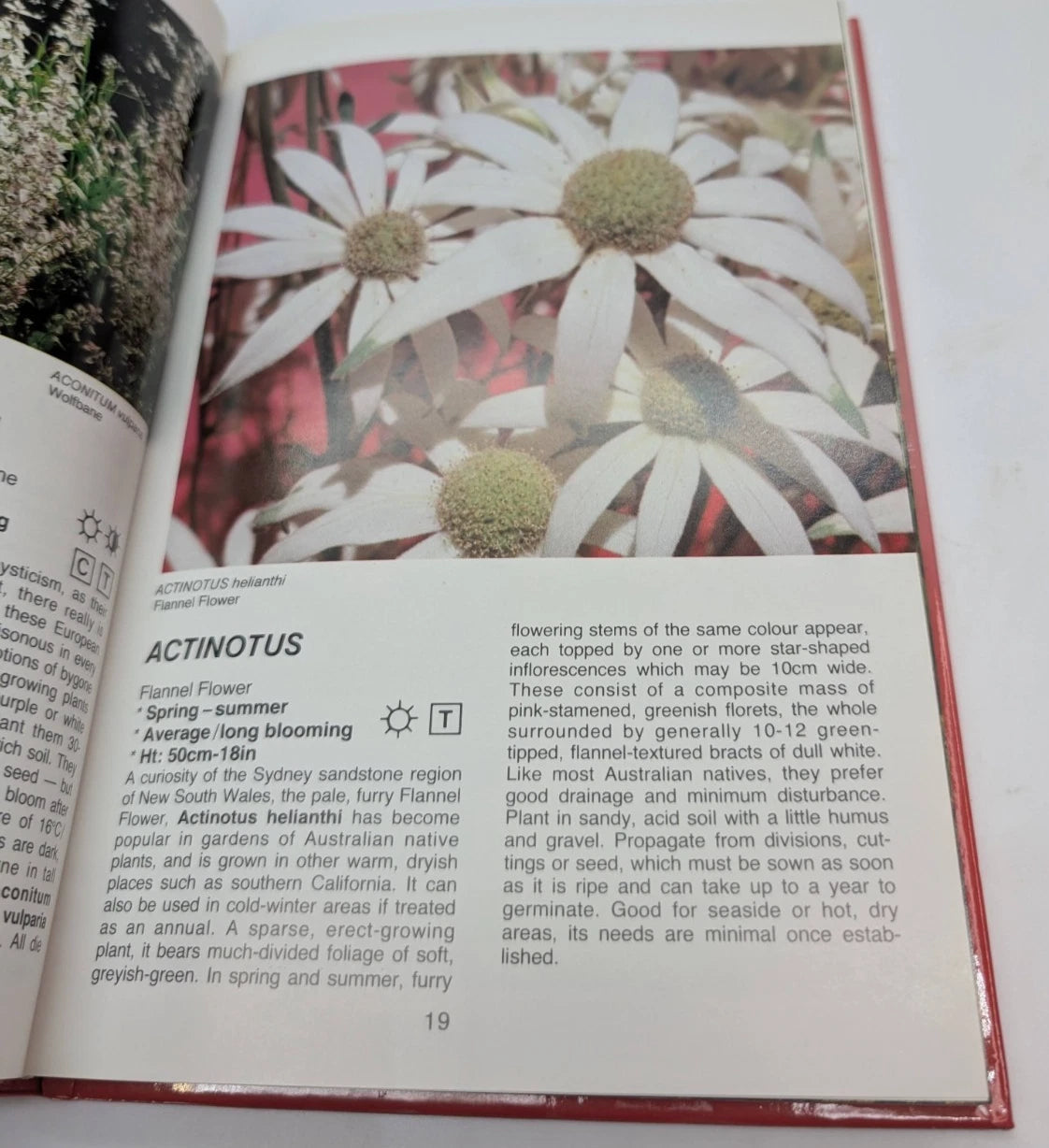 Perennials for All Seasons - Gardening Flowers