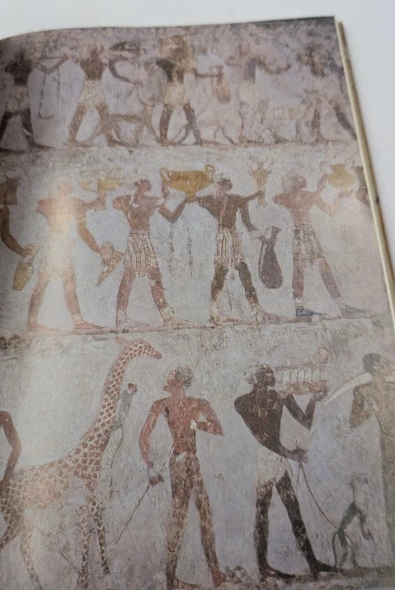 Warrior Pharaohs Rise and Fall of the Egyptian Empire by P H Newby
