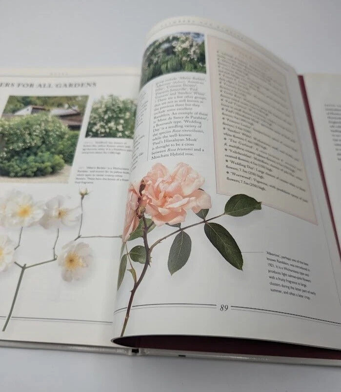 Practical Gardening Roses - Complete Illustrated Plant Guide