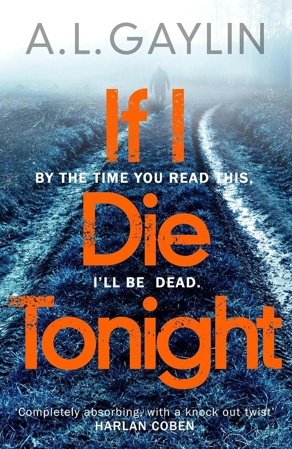 If I Die Tonight by A L Gaylin Thriller Mystery Suspense Crime Fiction
