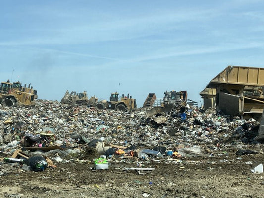 How does Bookselling Impact the Environment | Pearl Press