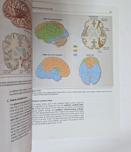 Basic Biomechanics Musculoskeletal System 5th  Nordin PB 2021 Medical Textbook
