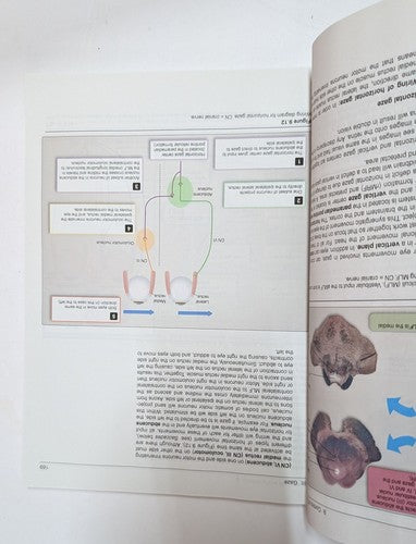 Basic Biomechanics Musculoskeletal System 5th  Nordin PB 2021 Medical Textbook