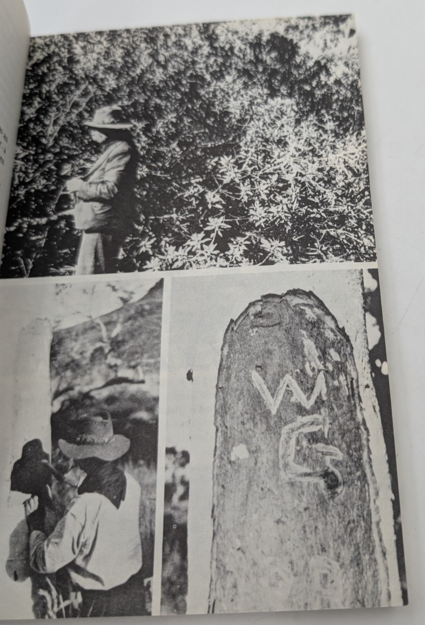 Petermann Journey, photo 4