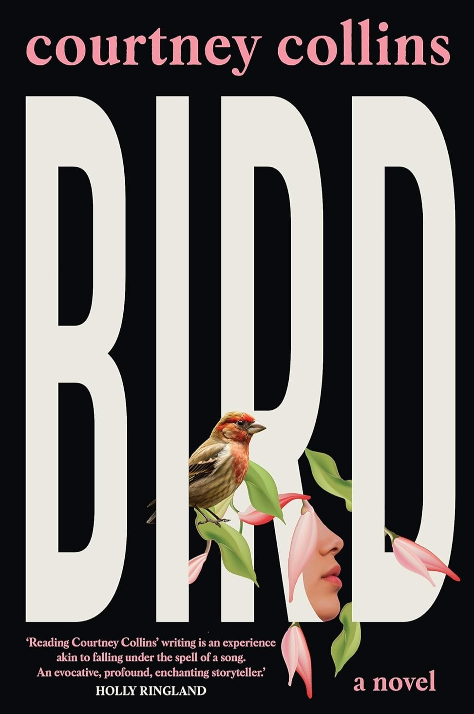 Bird by Courtney Collins - front cover