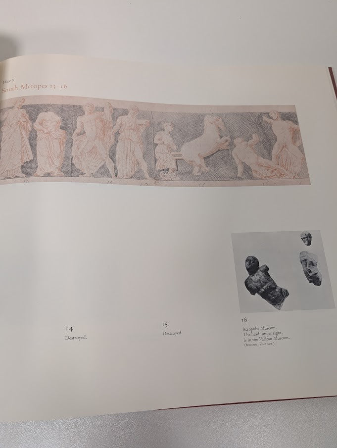 Carrey Drawings Parthenon Sculptures Diether Thimme HC 1971 Greek Art History