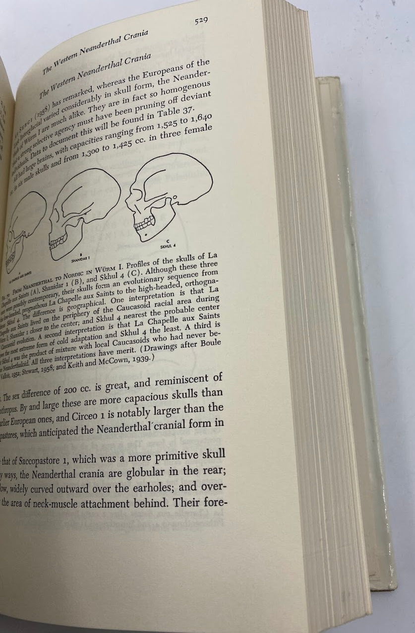 The Origin of Races Carleton Coon 1968 controversial learnings about racism HC