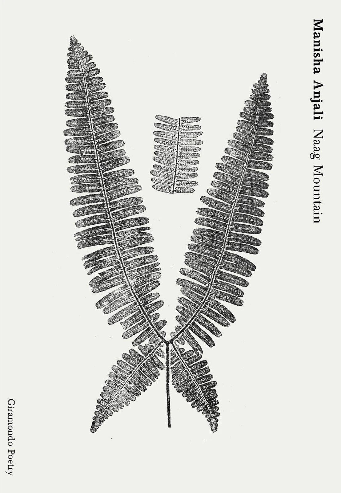 Naag Mountain by Manisha Anjali  Poetry Paperback award winner