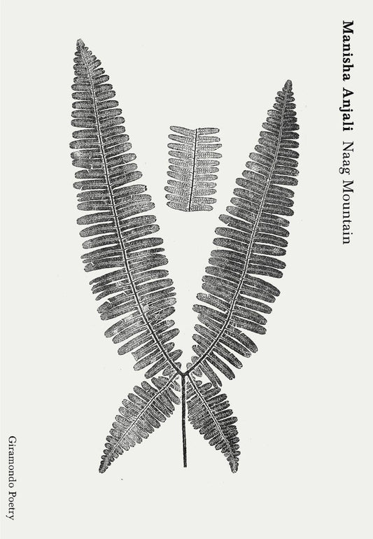 White cover of Naag Mountain by Manisha Anjali with black fern illustration