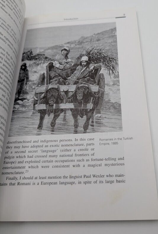 Gypsies: From the Ganges to the Thames (Interface Collection) by D Kenrick 2004