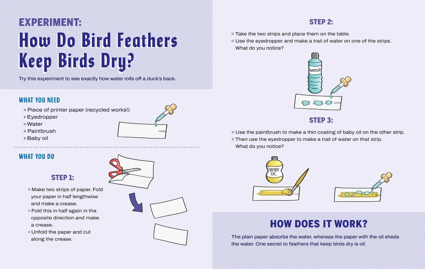 Turn This Book Into a Bird Feeder And 19 Other Activities to Explore HARDCOVER