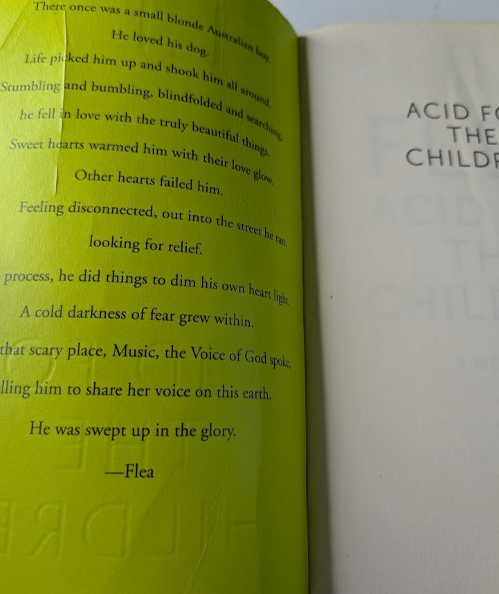 Acid For The Children Flea Red Hot Chili Peppers Autobiography PB 2019 Music