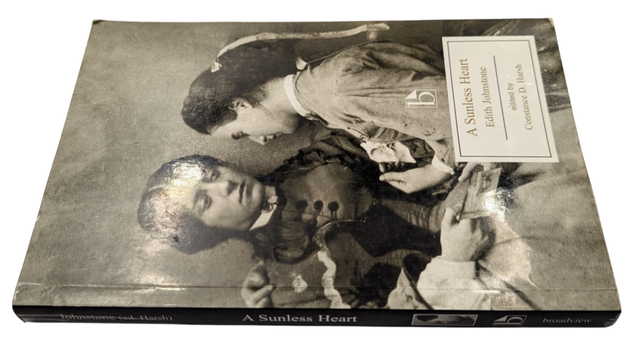 Sunless Heart  Trade Paperback 2008 Classic Literature Fiction