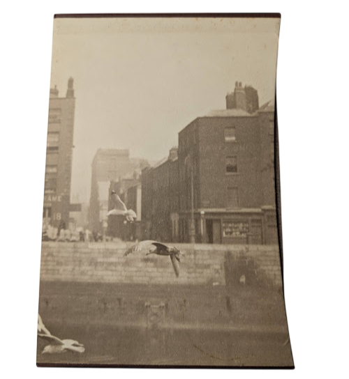 Dubliners James Joyce 2003 Short Stories Fiction Folio Society Hardcover