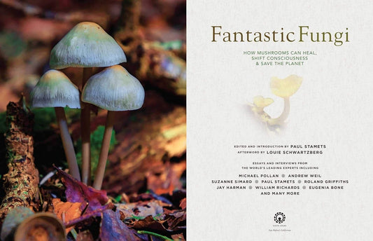 Fantastic Fungi : How Mushrooms Can Heal, Shift Consciousness, Save the planet