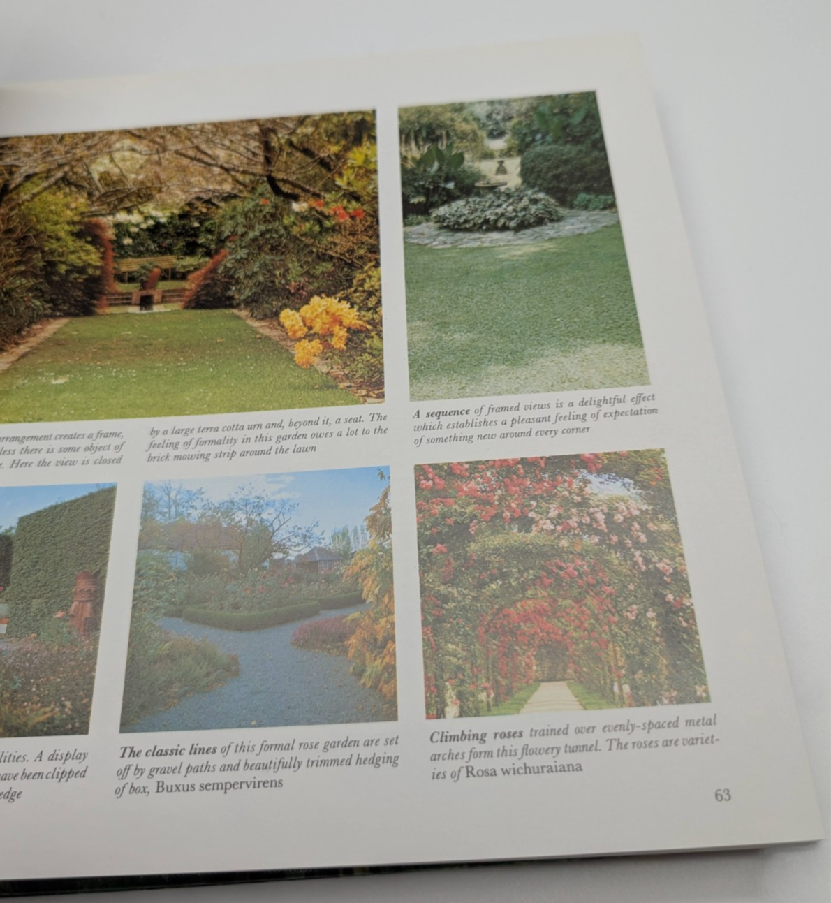 Reader's Digest Practical Guide to Home Landscaping