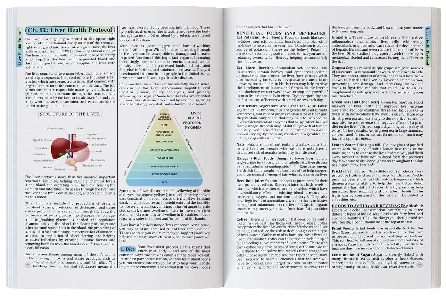 The Holistic Guide to Wellness : Herbal Common Ailments
