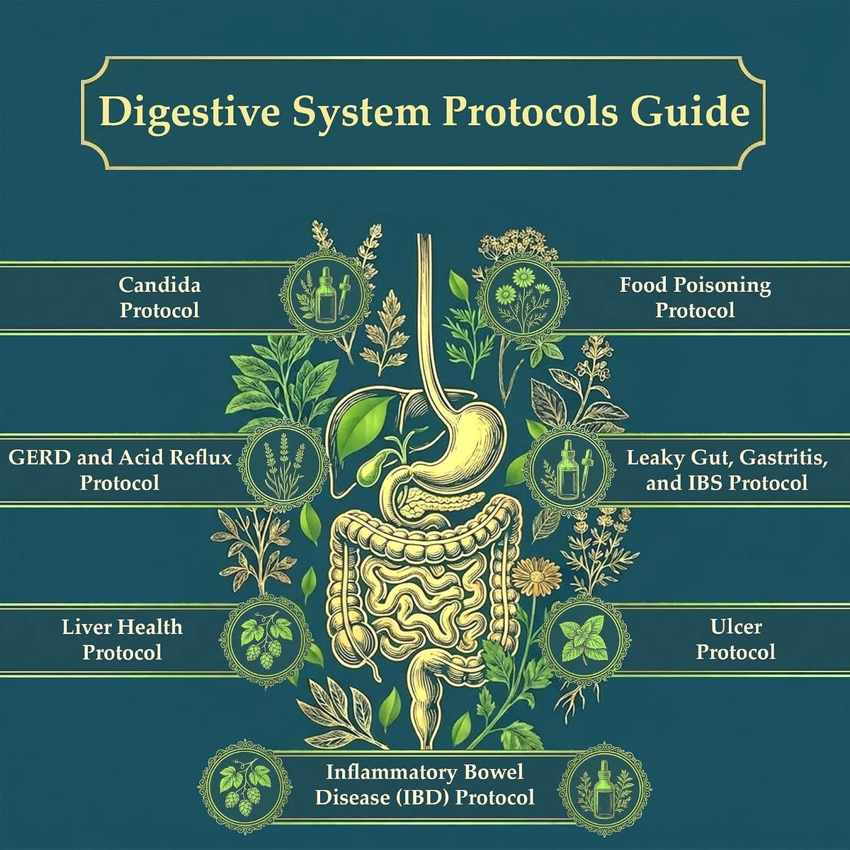 The Holistic Guide to Wellness : Herbal Common Ailments