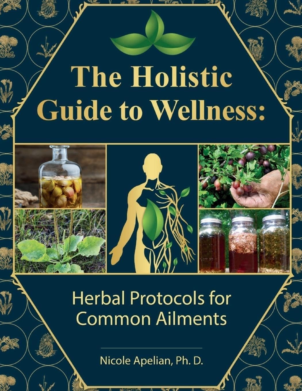The Holistic Guide to Wellness : Herbal Common Ailments