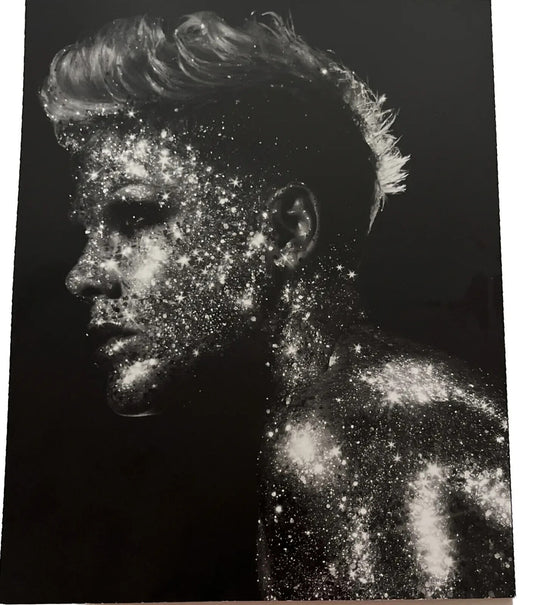 PINK P!NK (Alecia Moore) Summer Carnival Tour Program Book Official Merch (2023)