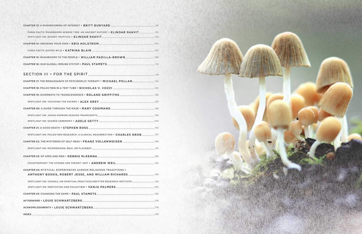 Fantastic Fungi : How Mushrooms Can Heal, Shift Consciousness, Save the planet