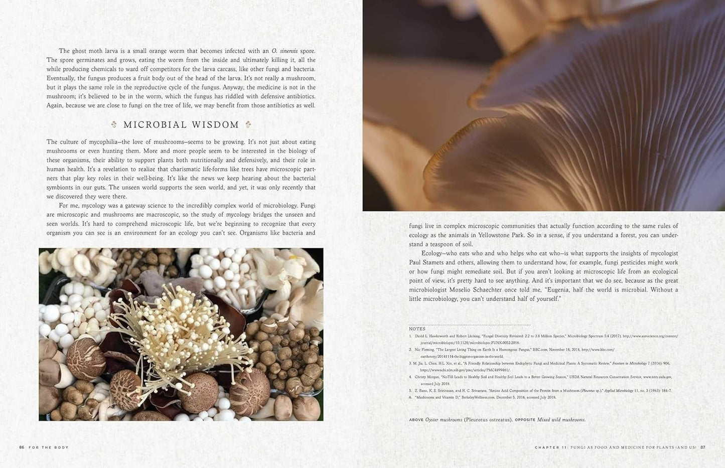 Fantastic Fungi : How Mushrooms Can Heal, Shift Consciousness, Save the planet