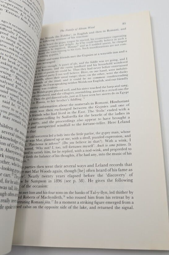 The Welsh Gypsies: Children of Abram Wood by A. O. H. Jarman, Eldra Jarman PB
