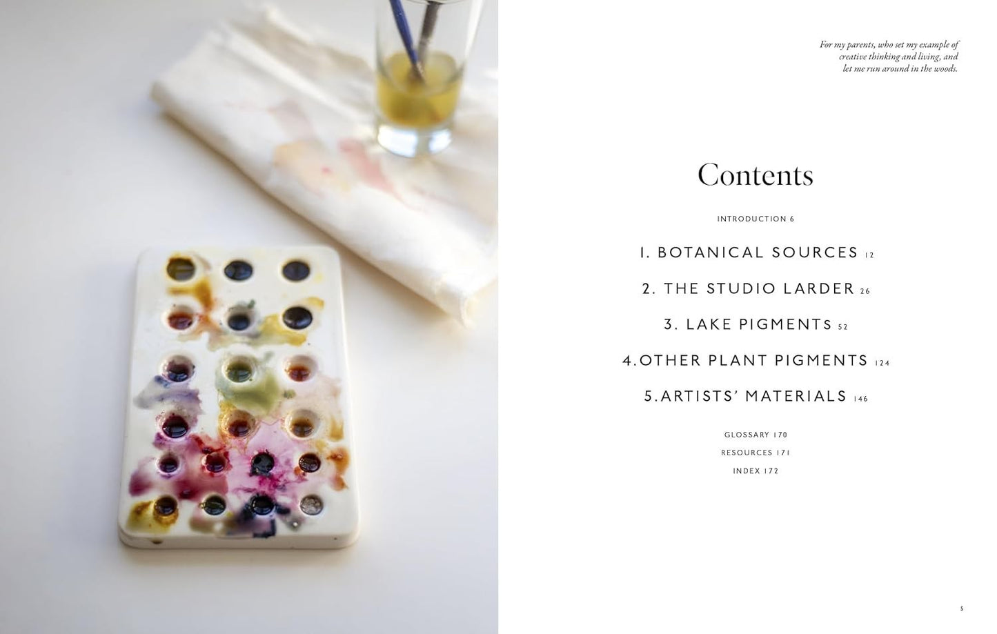 Natalie Stopka Plant Pigment Inks Pastels Paints DIY Art Guide HC Color