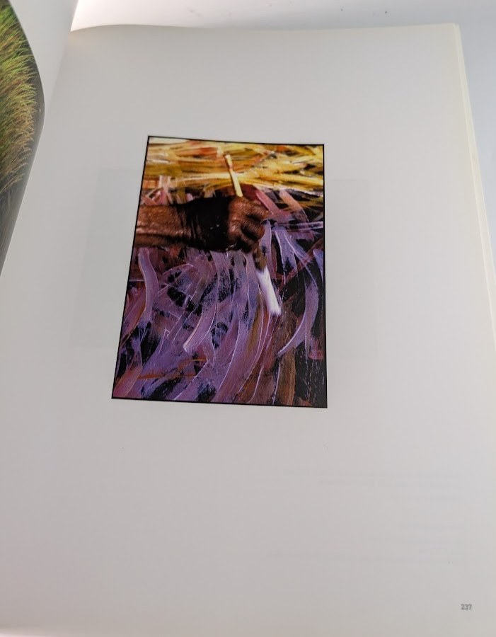 Utopia Genius Emily Kame Kngwarreye National Museum PB 2008 SIGNED  BY AUTHOR