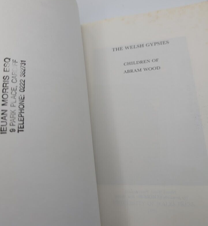 The Welsh Gypsies: Children of Abram Wood by A. O. H. Jarman, Eldra Jarman PB