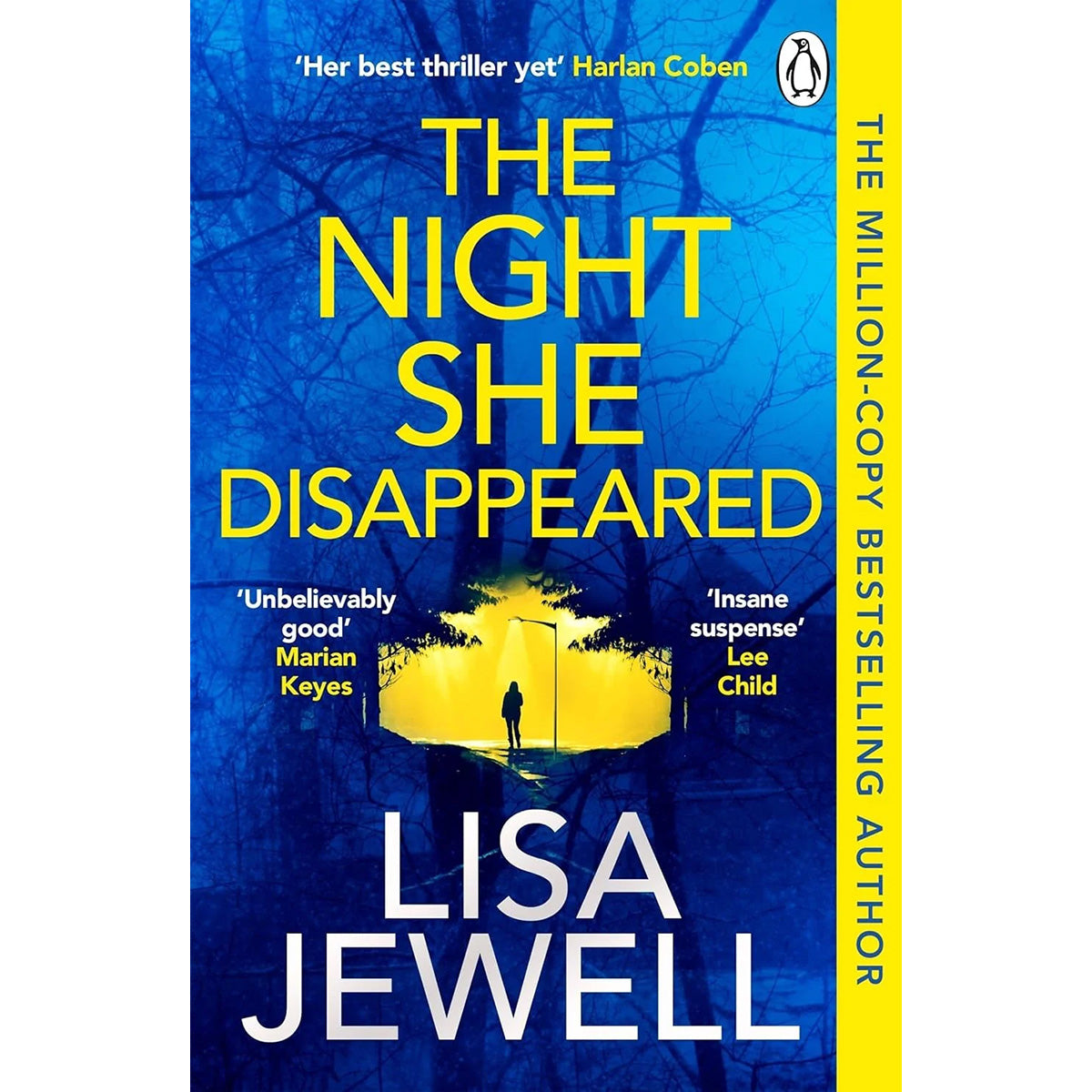 The Night She Disappeared Thriller Mystery Bestseller