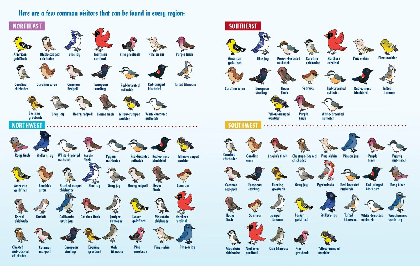 Turn This Book Into a Bird Feeder And 19 Other Activities to Explore HARDCOVER