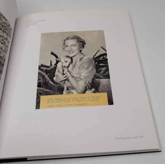 Nature Of Photographs Stephen Shore  Photography Art Primer