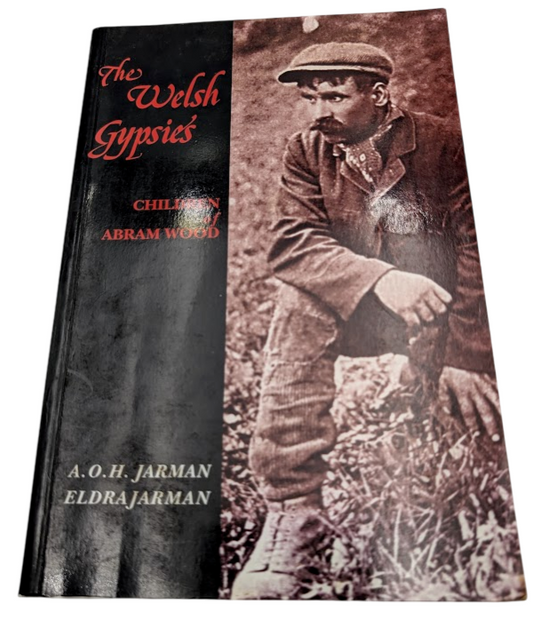 The Welsh Gypsies: Children of Abram Wood by A. O. H. Jarman, Eldra Jarman PB