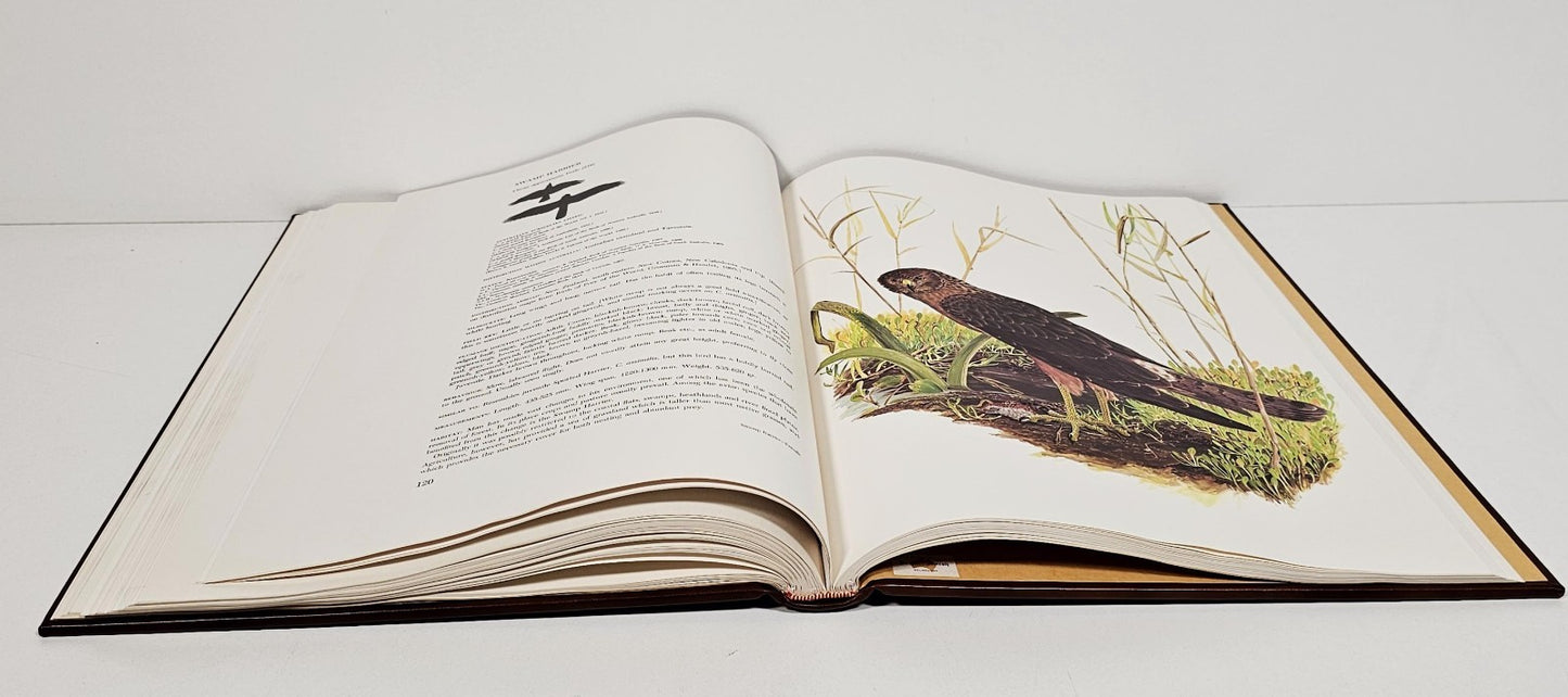 Birds of Prey of Australia Frank Morris 1st ltd edition HUGE leather bound 1973