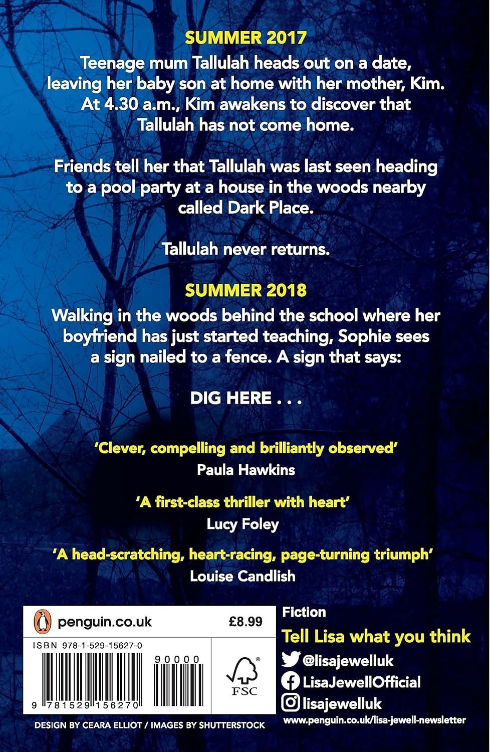 The Night She Disappeared Thriller Mystery Bestseller